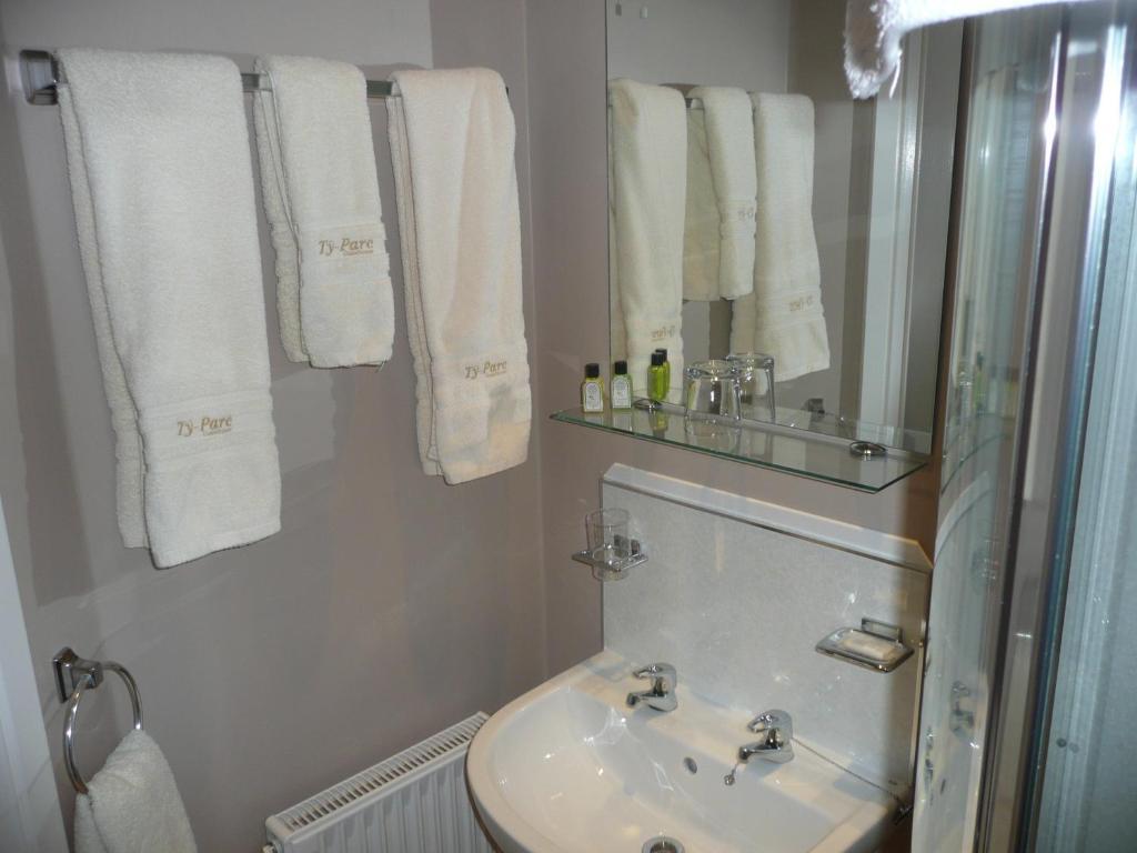 Ty-Parc Hotel Cardigan Kültér fotó